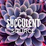 The Succulent Source discount code